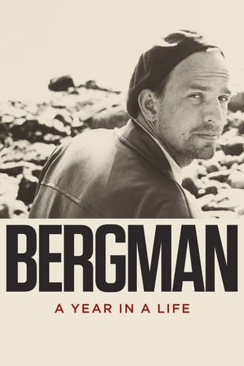 Bergman : une année dans une vie